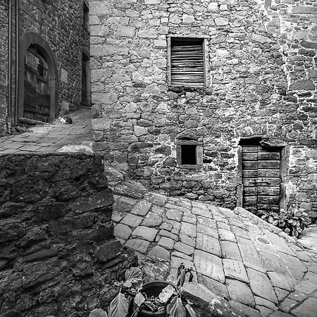 La Casa Del Bosco Dom wakacyjny Pescia