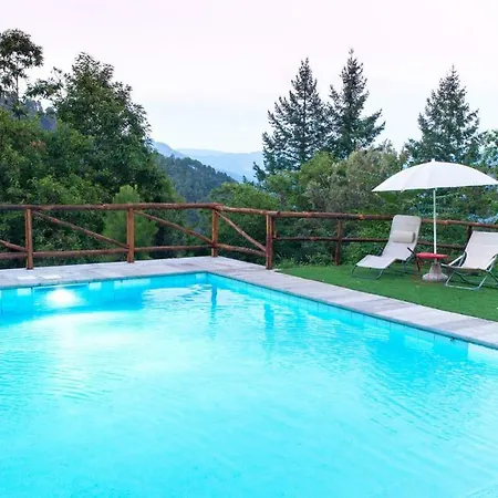 La Casa Del Bosco