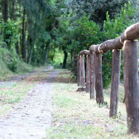 Dom wakacyjny La Casa Del Bosco *