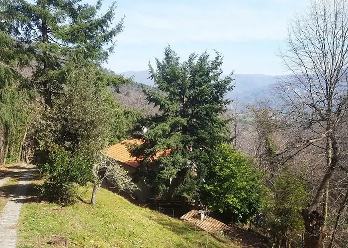 La Casa Del Bosco Nyaraló *